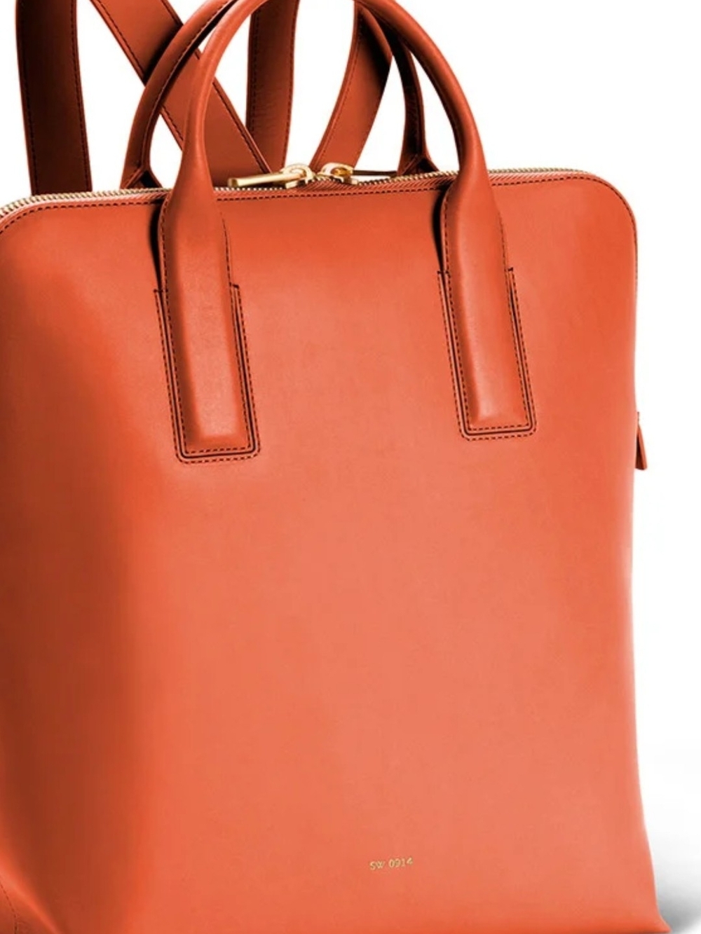 SW 0914 labtop Bagpack